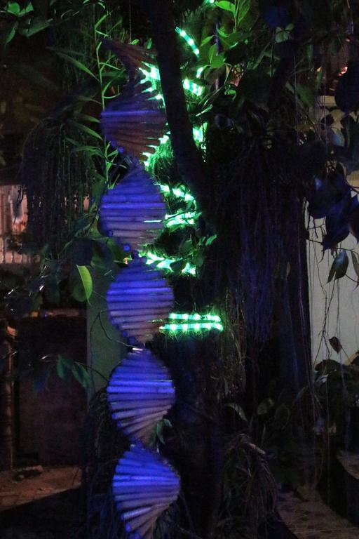 Blue Bamboo Hotel Balabag  Exterior foto